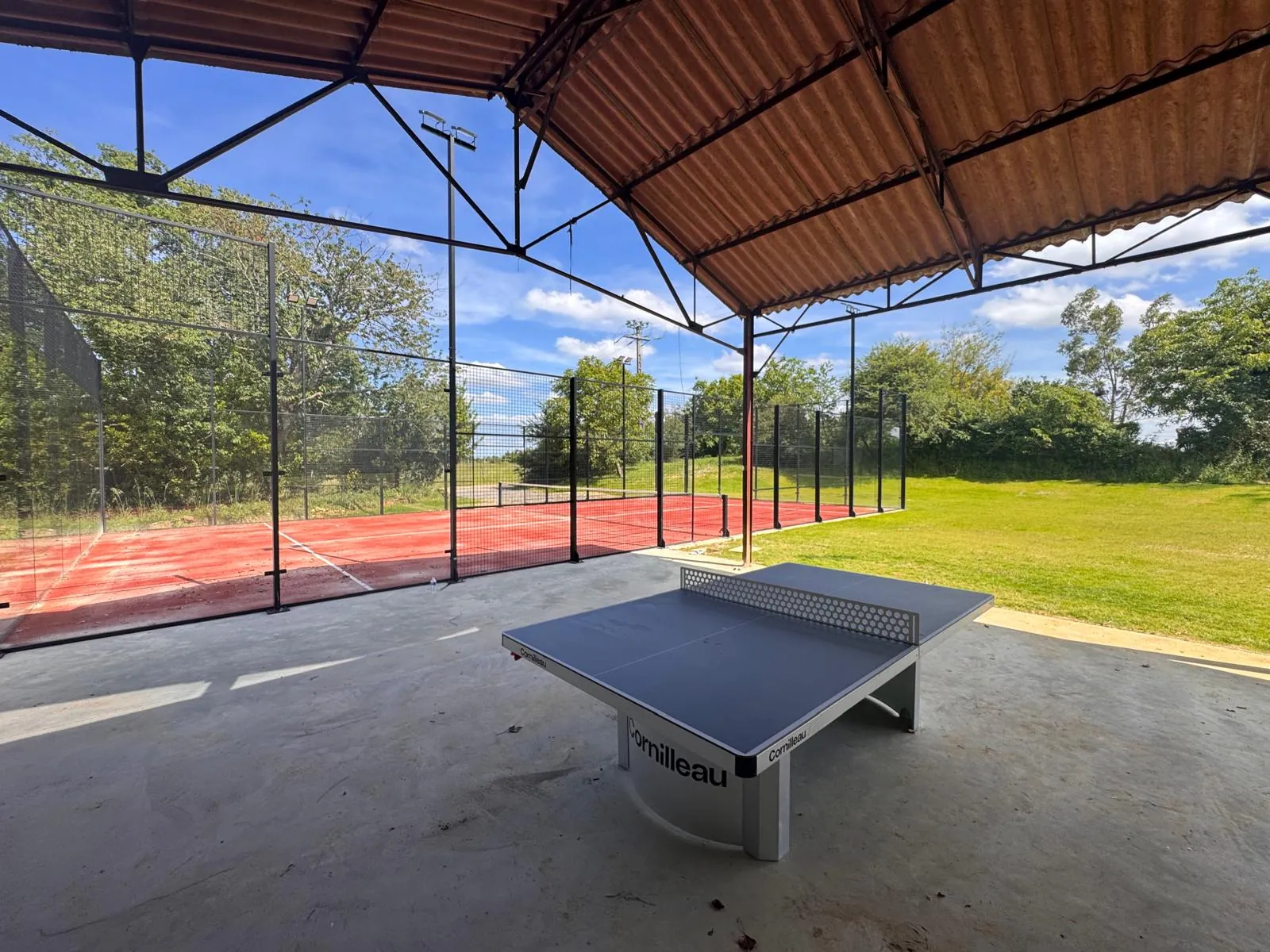 Ping-pong